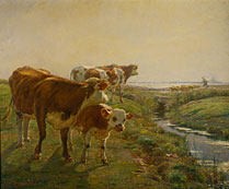 Three Cows and a Calf